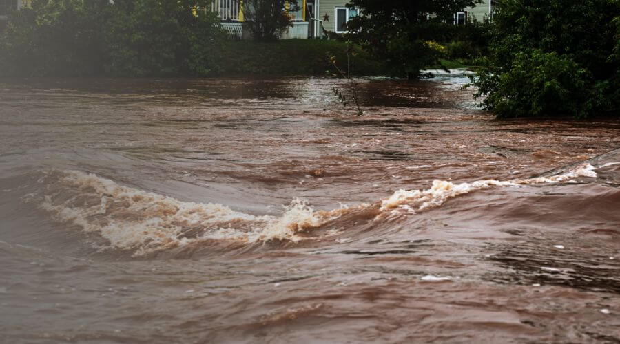 Why choose Mr Flood for water damage restoration in Garland